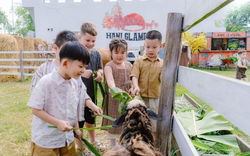 Hani Glamping Đà Nẵng: Trải nghiệm cắm trại giữa thiên nhiên yên bình gần trung tâm thành phố?