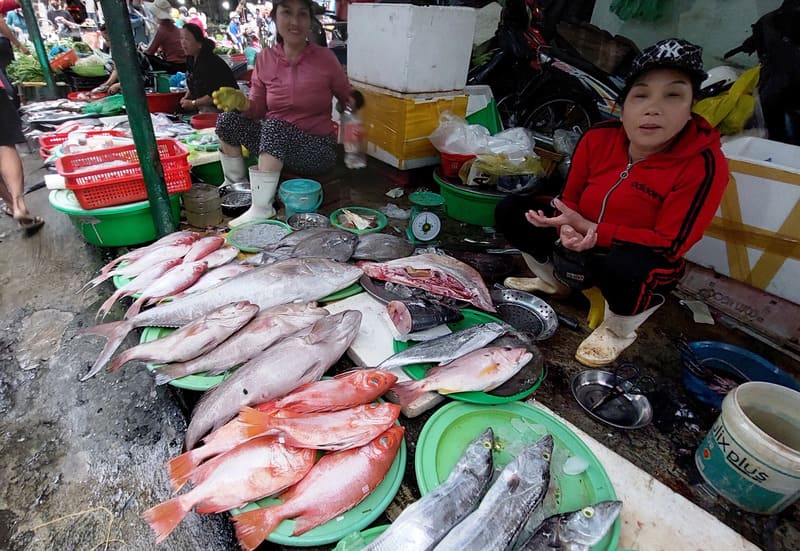 Chợ Mân Thái: Chợ Chiều Hải Sản Nổi Tiếng Tại Sơn Trà Đà Nẵng Có Gì Hấp Dẫn?