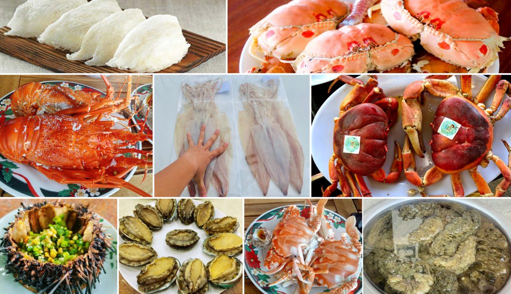 Cù lao Chàm: Hành trình khám phá thiên đường đảo xanh gần Đà Nẵng