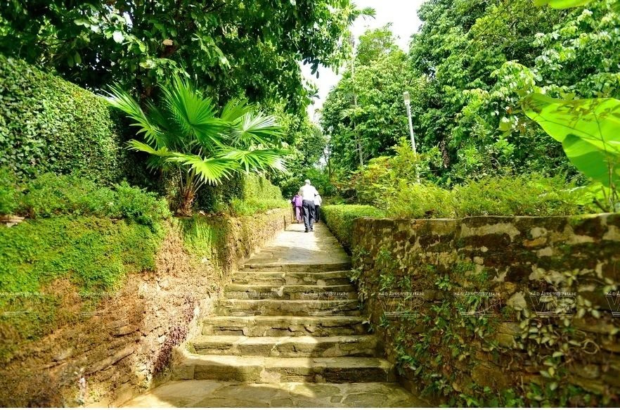 Làng cổ Lộc Yên có gì đẹp để trở thành điểm dừng chân đáng đi ở vùng trung du xứ Quảng?