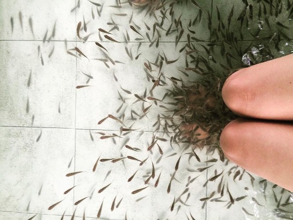 Khu du lịch Hòa Phú Thành có gì chơi? Review chi tiết điểm giải nhiệt nổi tiếng gần Đà Nẵng