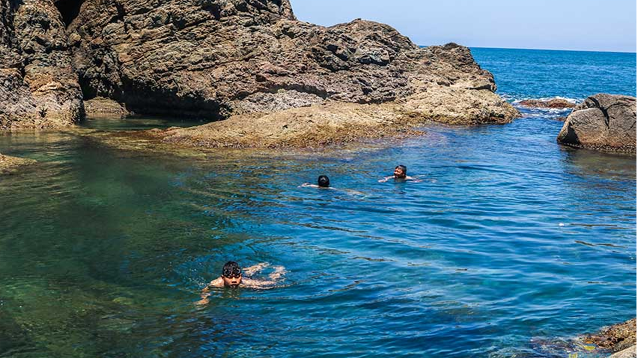 Mũi Nghê: Hành Trình Khám Phá Viên Ngọc Hoang Sơ Giữa Bán Đảo Sơn Trà