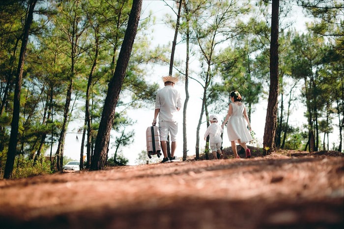 Rừng thông Bồ Bồ: Điểm dừng chân xanh mát giữa thiên nhiên yên bình gần Đà Nẵng