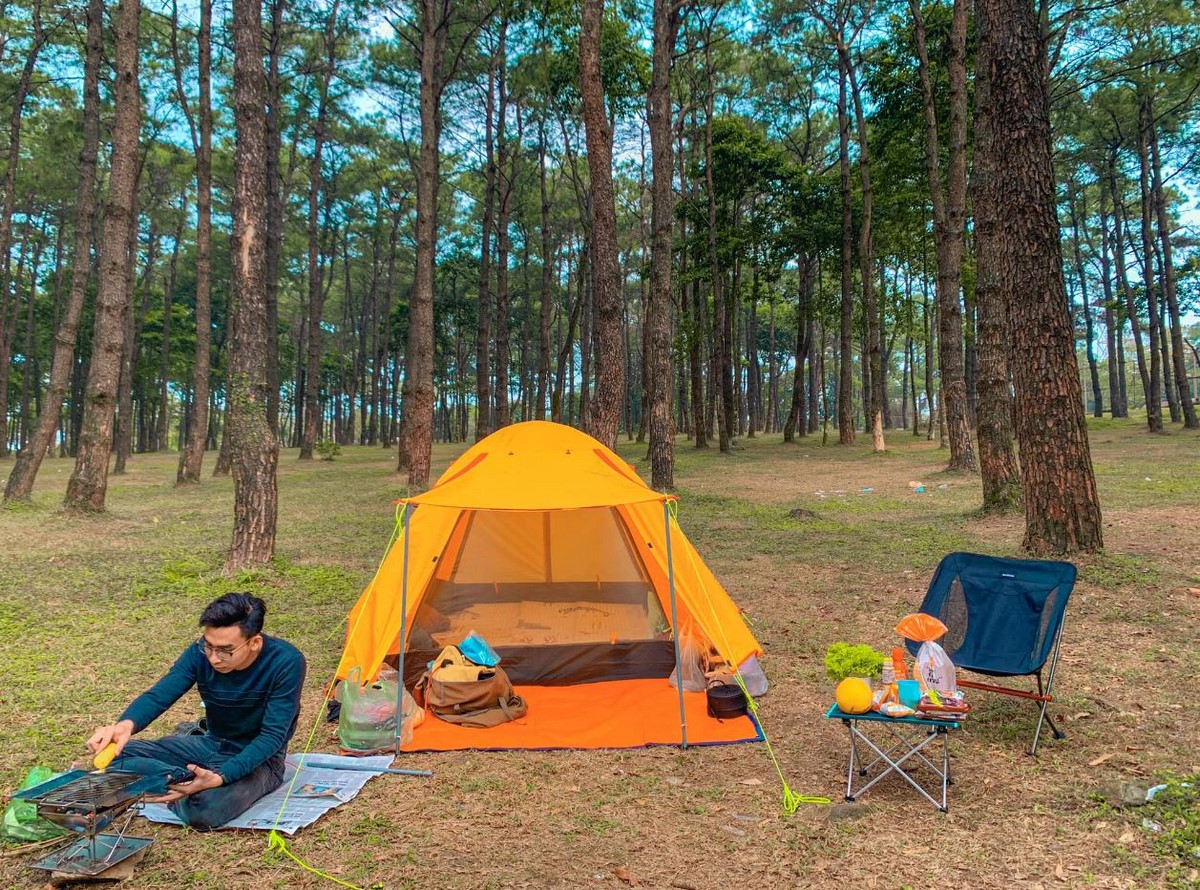 Rừng thông Bồ Bồ: Điểm dừng chân xanh mát giữa thiên nhiên yên bình gần Đà Nẵng