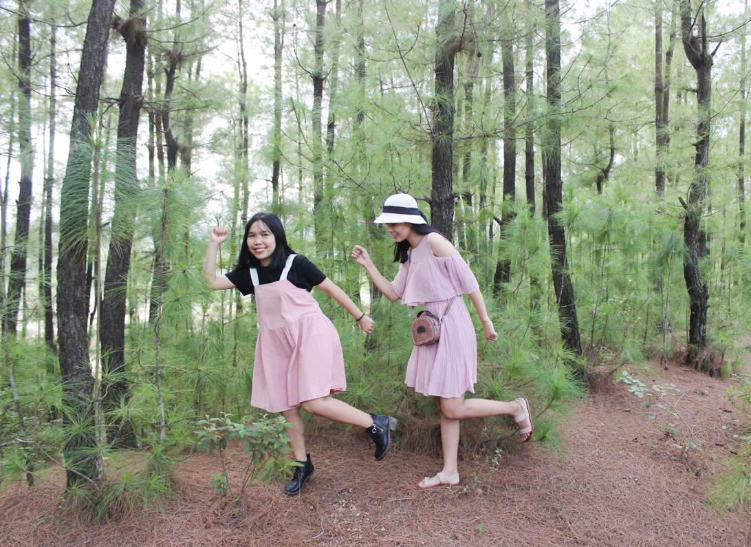 Rừng thông Bồ Bồ: Điểm dừng chân xanh mát giữa thiên nhiên yên bình gần Đà Nẵng