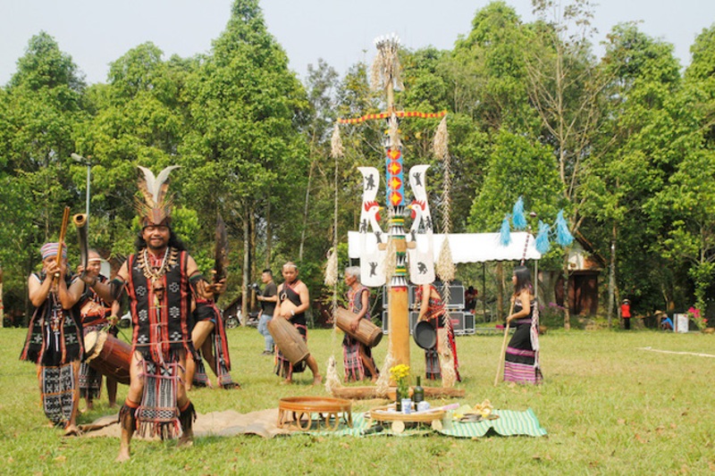 Thung lũng Khe Răm: Ốc đảo xanh mát giữa núi rừng Đà Nẵng dành cho người yêu thiên nhiên